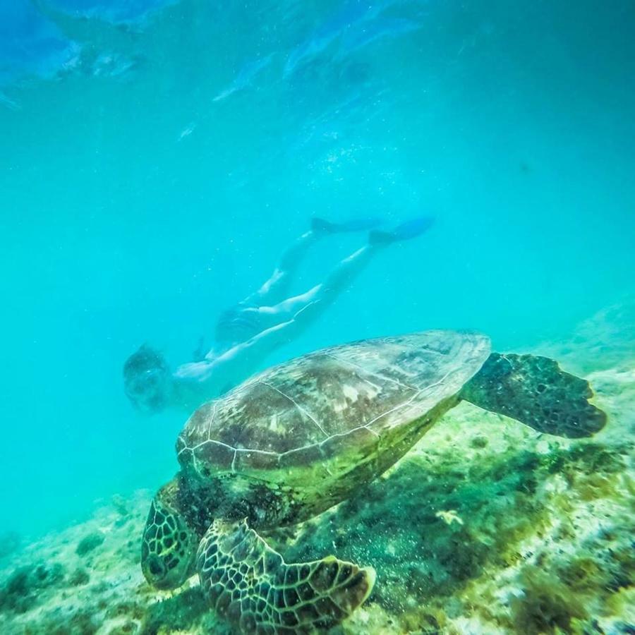 Tailua Beach Fales Manase Esterno foto